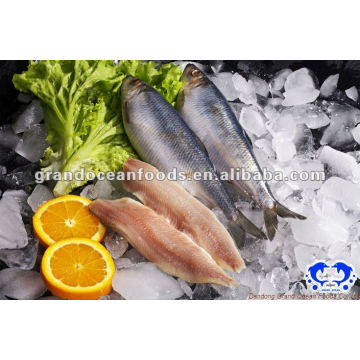 frozen fish herring fillet